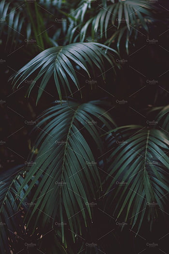 Luxury Seamless Pattern With Tropical Leaves On Dark Blue Background  Backgrounds  EPS Free Download  Pikbest