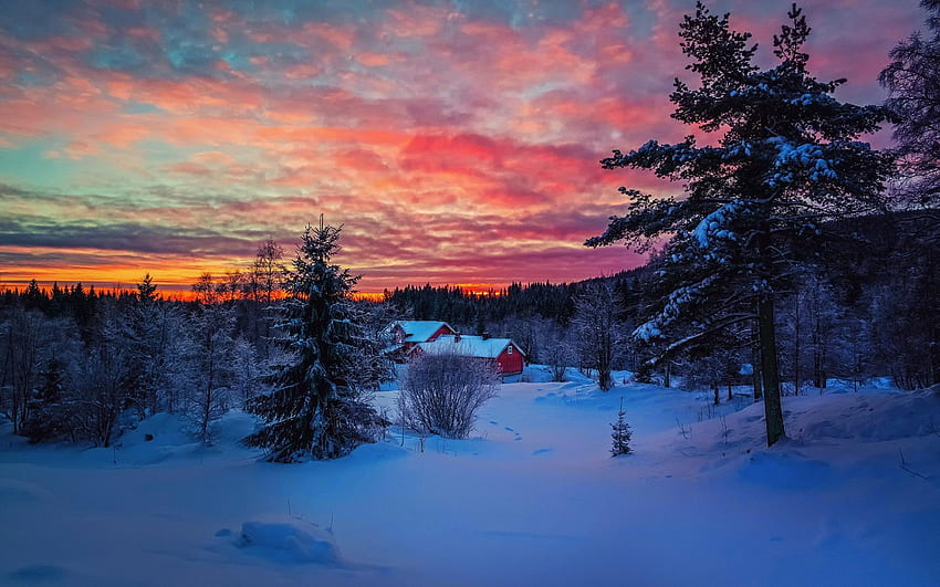 Pink sunset on the white snow, Winter Sunset HD wallpaper