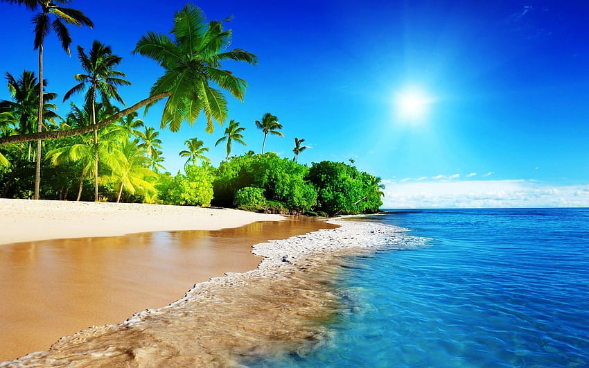 playa, sol fondo de pantalla