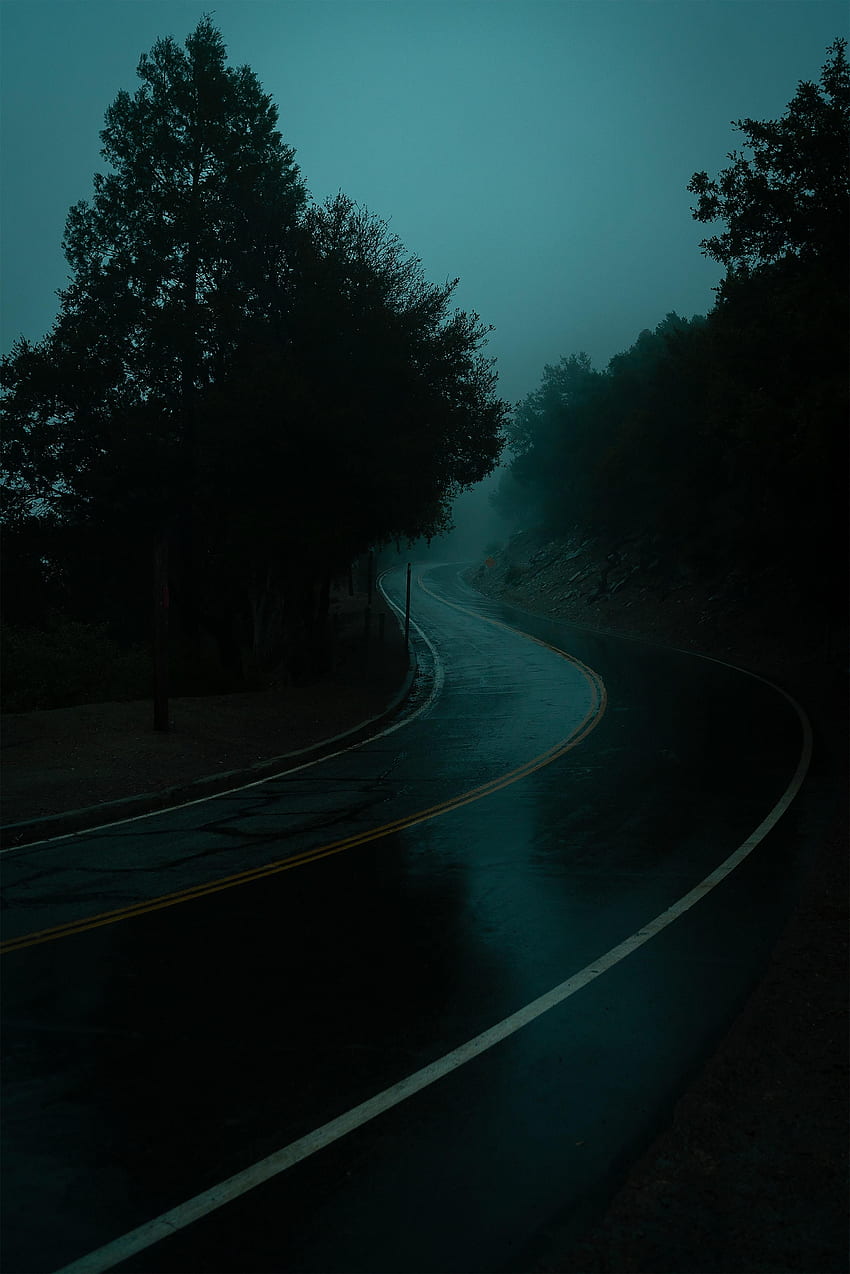 Crepúsculo, Oscuro, Carretera, A su vez, Niebla, Anochecer fondo de pantalla del teléfono