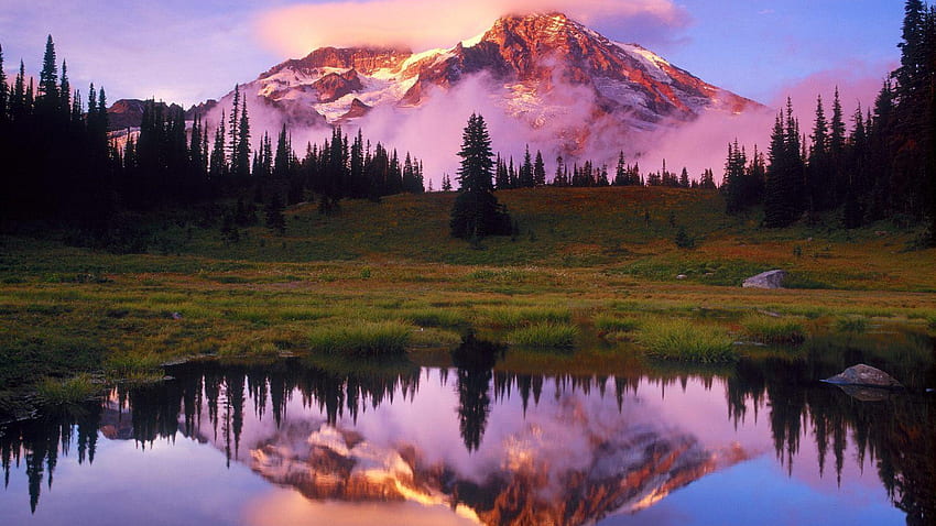 Gunung Emas, ungu, kabut, langit, hutan, danau, gunung Wallpaper HD