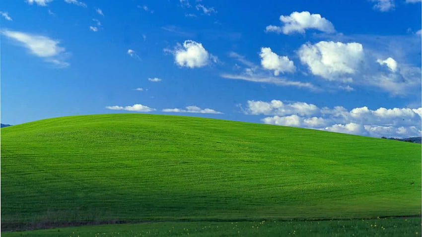 Iconic Windows XP background is of Sonoma County hillside - ABC7 San Francisco, Windows XP Grass HD wallpaper