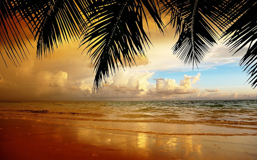 nature, paysage, ciel, nuages, coucher de soleil, sable, plage, coucher de soleil esthétique Fond d'écran HD