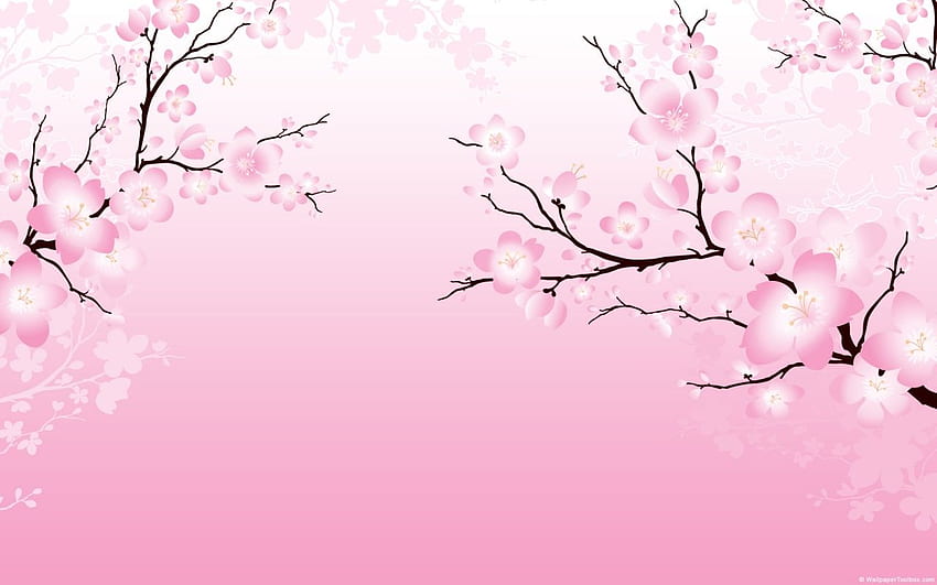 Cherry Blossom Business Inclusion & Diversity Oregon State University, Sakura Flower HD wallpaper