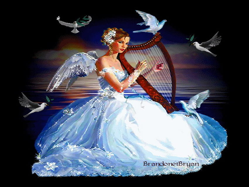 angel, night, music, dove, harp HD wallpaper