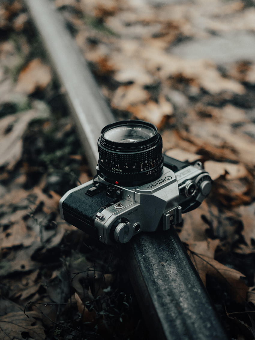 Grey, Technologies, Technology, Camera, Fallen Foliage, Fallen Leaves, Rail HD phone wallpaper