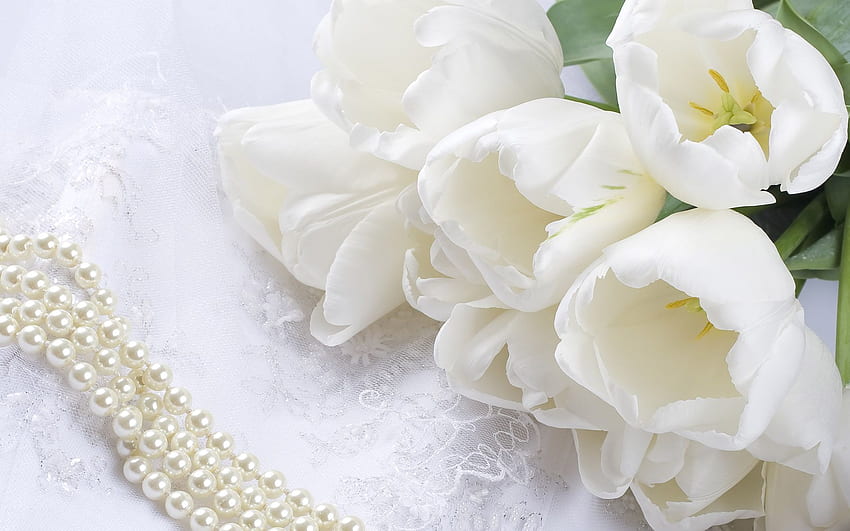 あなたの、モバイル＆タブレット用の白い花の結婚式の花[]。 白いバラの背景を探る。 ホワイトローズ、ホワイトローズ用 高画質の壁紙