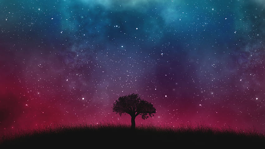 Árbol solitario, cielo estrellado, noche, cosmos, galaxia, 5760X3240 fondo de pantalla
