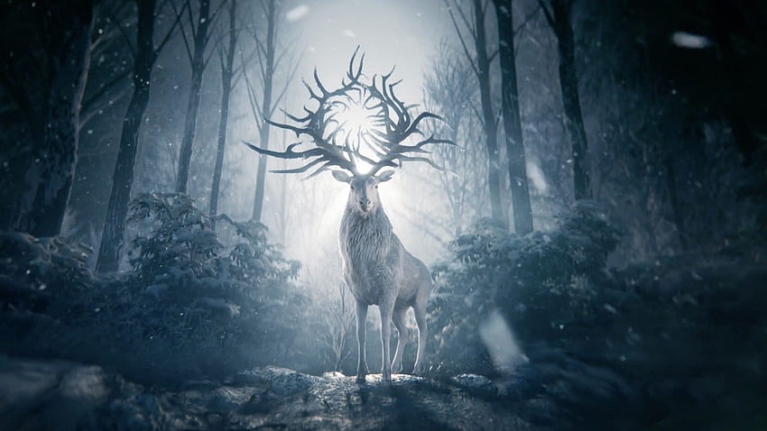 Netflix's Shadow and Bone: First Look Released Ahead of April Premiere HD wallpaper