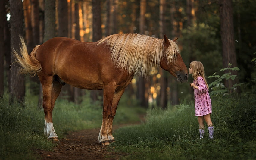 小さな女の子と馬、馬、キス、女の子、森、小さな 高画質の壁紙