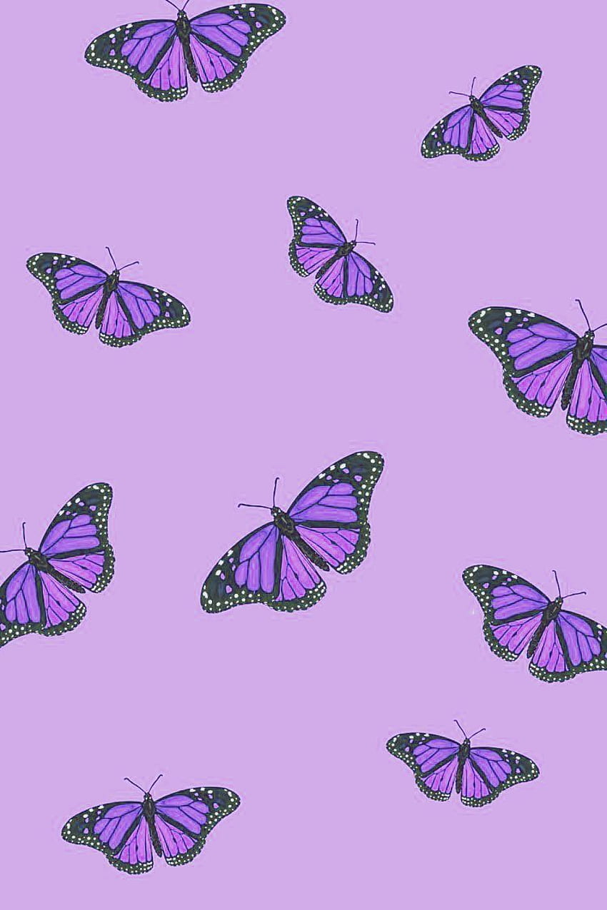 Papillon violet. Papel de parede roxo, Padrões de papel de parede, Papel de parede lilás, Cute Purple Butterfly Fond d'écran de téléphone HD