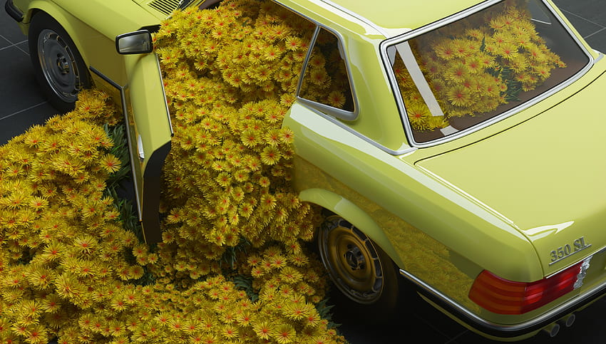 Car and flowers, Mercedes-Benz classic HD wallpaper