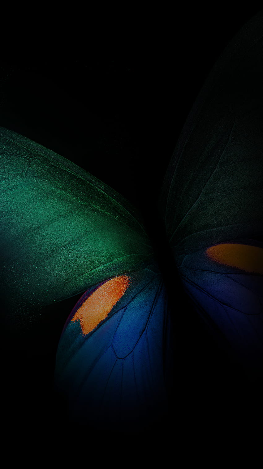 Samsung Galaxy Fold, Butterfly, Green, Blue, Black HD phone wallpaper