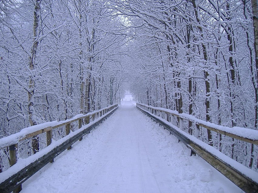 あなたの、モバイル＆タブレットのための冬のシーンワインダー雪景色雪[]。 冬の景色を探索します。 冬 , 雪景色用 高画質の壁紙