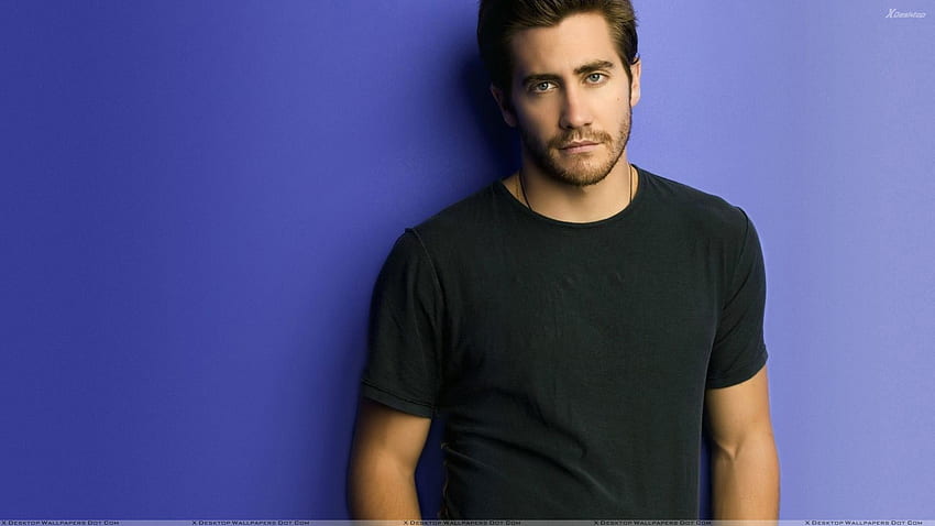 Jake Gyllenhaal Looking Smart In Black T Shirt N Blue Background HD wallpaper