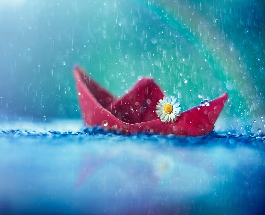 air, tetes, bunga aster, hujan, resolusi perahu, Perahu Kertas Wallpaper HD