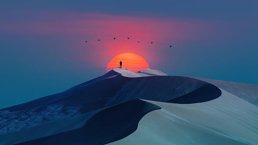 Birds over desert, sunset & man, silhouette, minimal art HD wallpaper