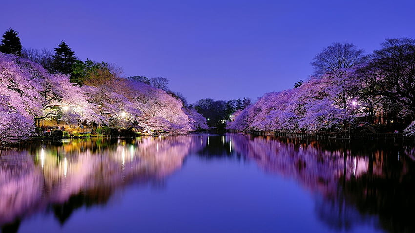 Osaka City Japan . Nature Beautiful, Beautiful Japanese HD wallpaper