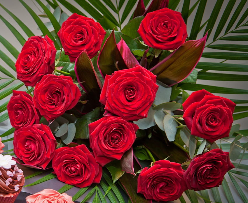 Piękne kwiaty, róża, kwiaty, piękny, czerwony Tapeta HD