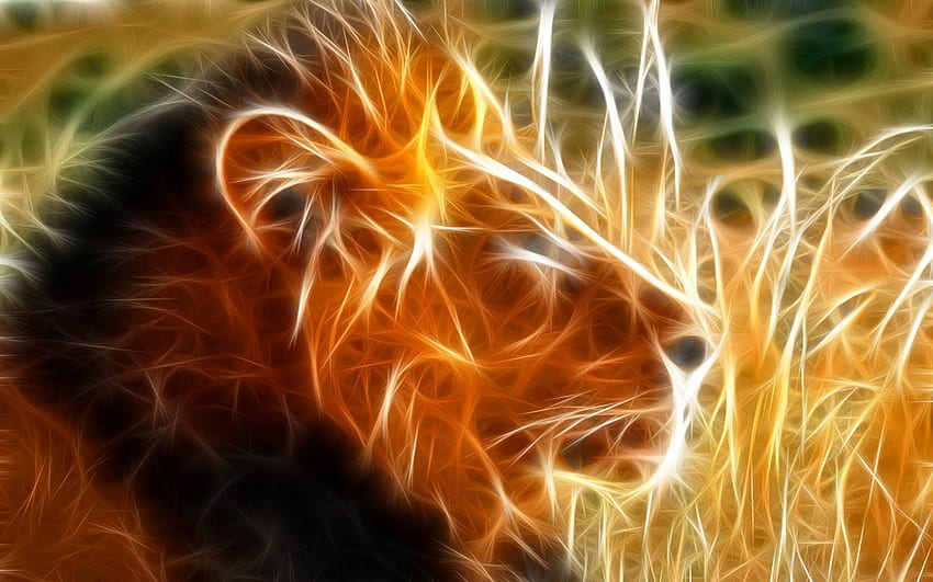 Lion and Background, Fire Lion HD wallpaper | Pxfuel