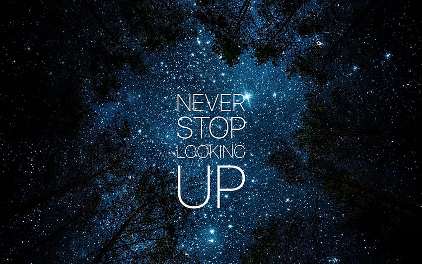 Never stop looking up, night, blue, white, black, quote, stars, tree, card, sky, silhouette HD wallpaper