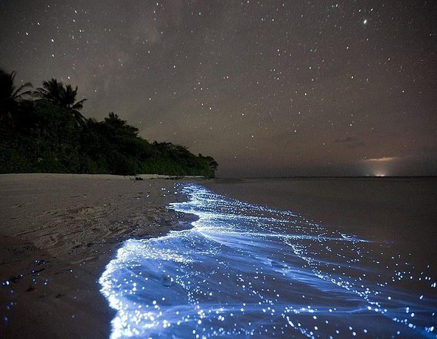 ܓ85 Beaches: Night Beach Beautiful Sand Nature Sea Blue Maldives - Android / iPhone Background () (2021) HD wallpaper