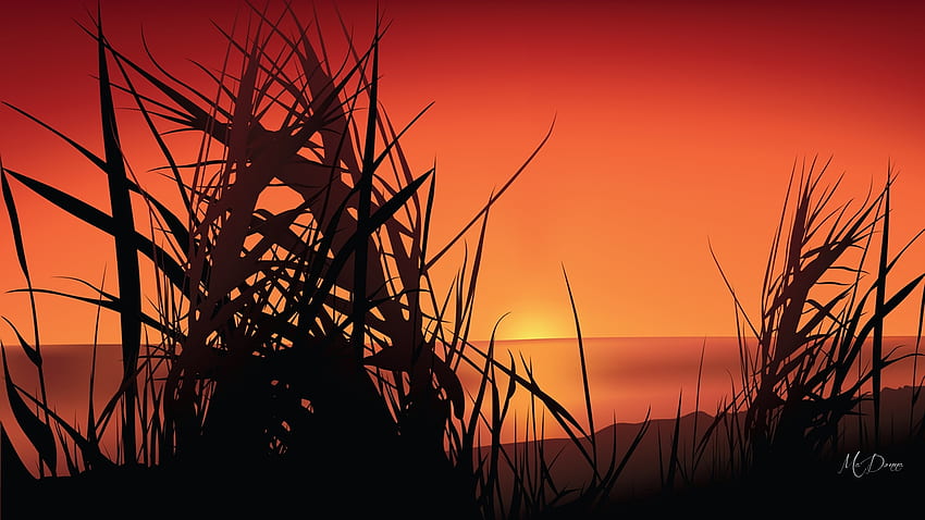 Sunset Grass, firefox persona theme, sky, grass, orange, sunset HD wallpaper