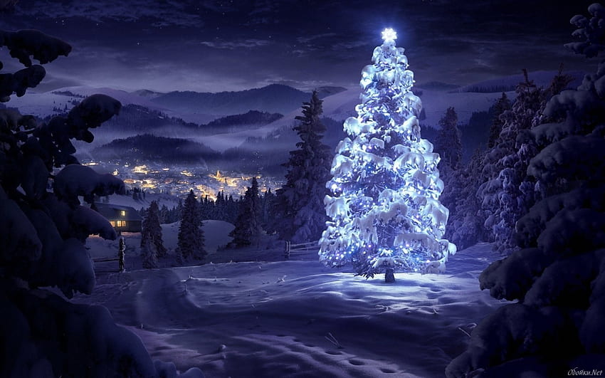 Święta, Zima, Nowy Rok, Śnieg, Jodły, Boże Narodzenie, Boże Narodzenie Tapeta HD