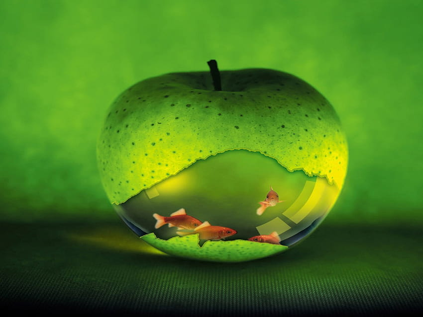 APPLE-FISHBOWL, maçã, peixe, tigela, verde papel de parede HD