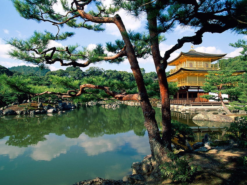 Kinkaku ji Tapınağı Kyoto Japonya Dünya, jpg formatında HD duvar kağıdı