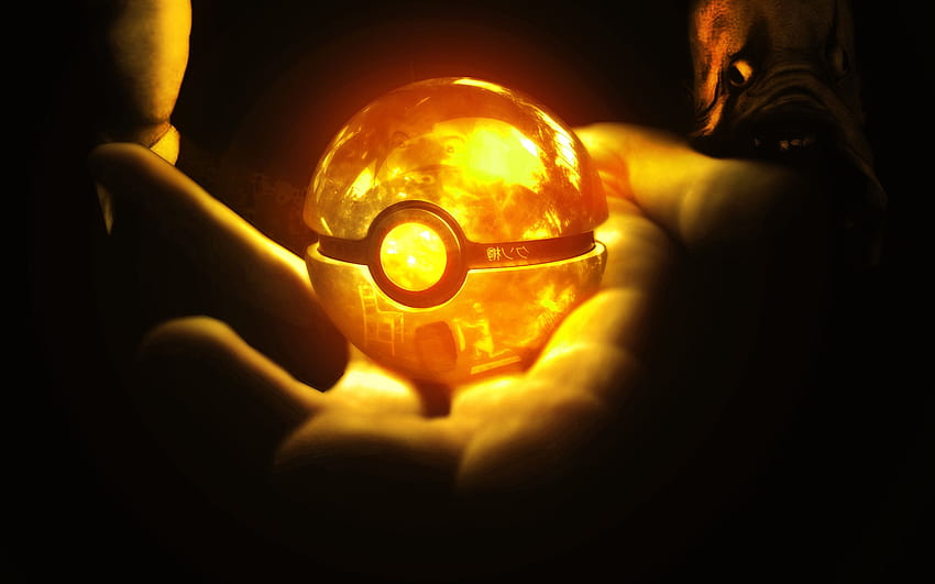 Pokémon GO! cho máy tính. pokey, Pikachu Pokeball HD wallpaper