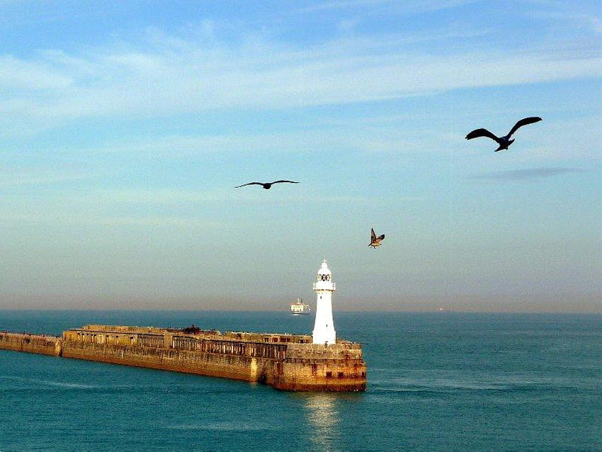 Port of Dover, port, sky, birds, lake HD wallpaper