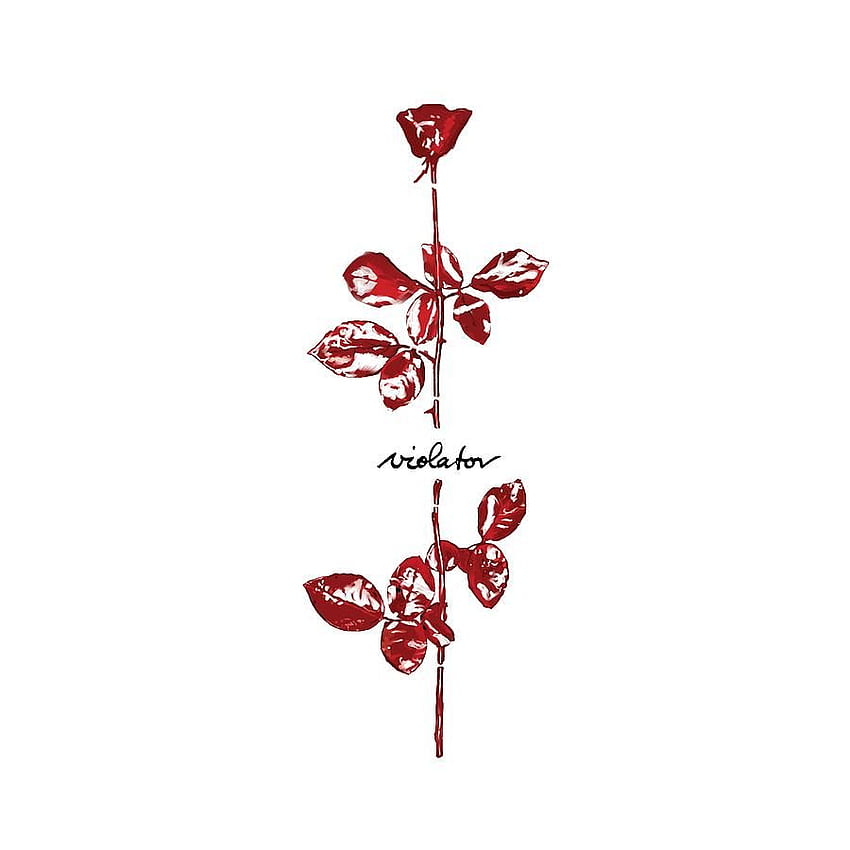 single needle violator rose for depeche mode lifer tristevphoto    Instagram