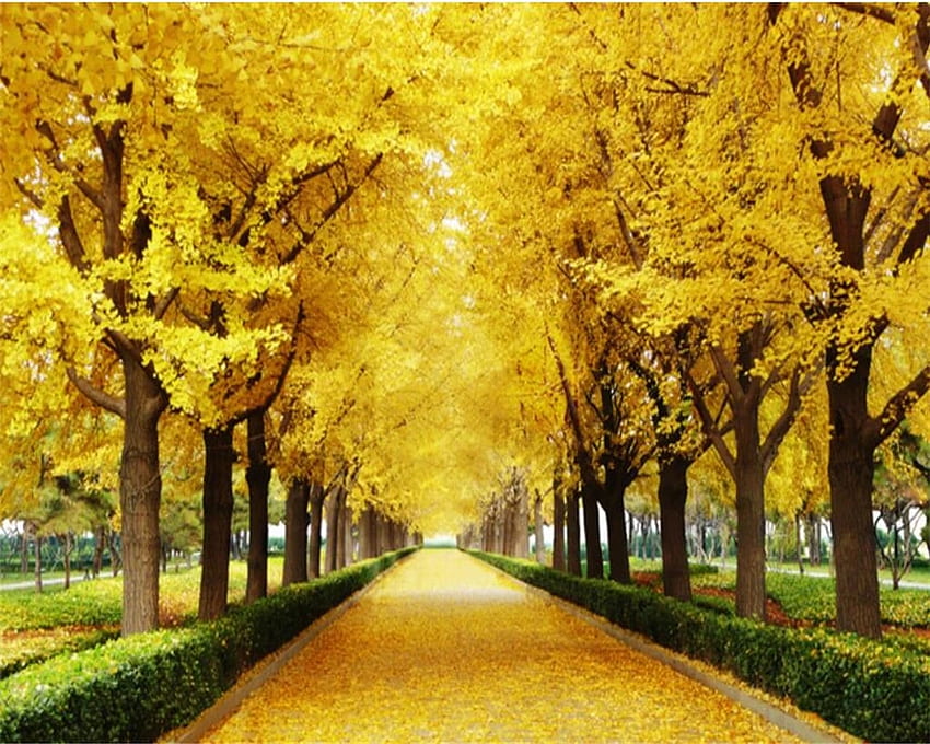 beibehang カスタム 3D 秋のカエデの葉の金の木の 3D テレビの背景の壁のリビング ルームの張り子の peint。 リビングルーム用。 3D カスタム 3D、メープル リーフ ツリー 高画質の壁紙