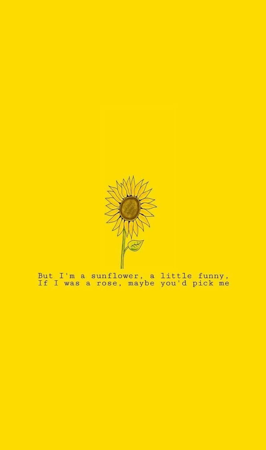 Yellow Aesthetic Quotes, Funny Quotes Aesthetic HD phone wallpaper