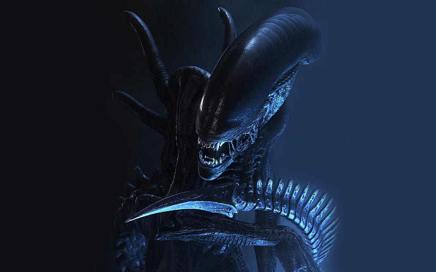 Xenomorph, Alien HD-Hintergrundbild