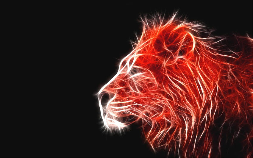 León de fuego - León negro y rojo, Leones de Brisbane fondo de pantalla