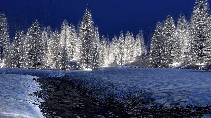 Winter Night Christmas Snow Trees Forest Lights Full HD wallpaper | Pxfuel