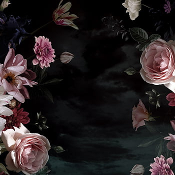 Dark pink flowers HD wallpapers | Pxfuel