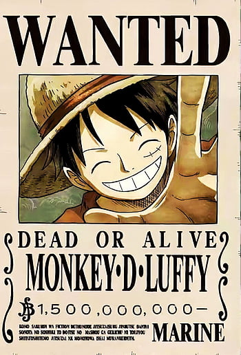 Take A Stab At Everyone's Next Bounty Increase. What Will The Straw Hat ...