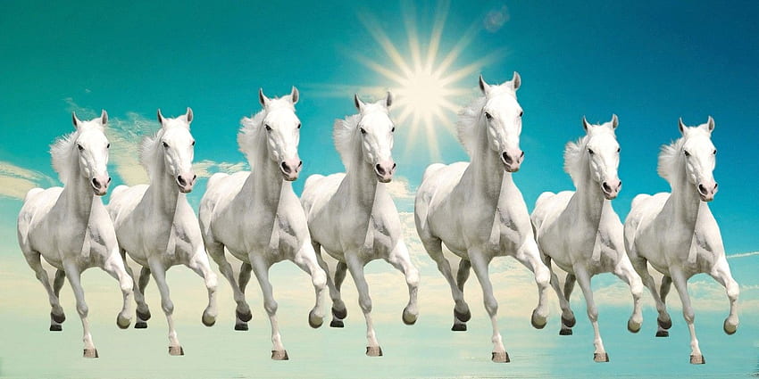 Seven White Horses HD wallpaper