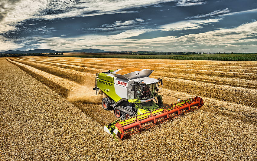 CLAAS Lexion 670, grain harvesting, R, 2019 combines , agricultural