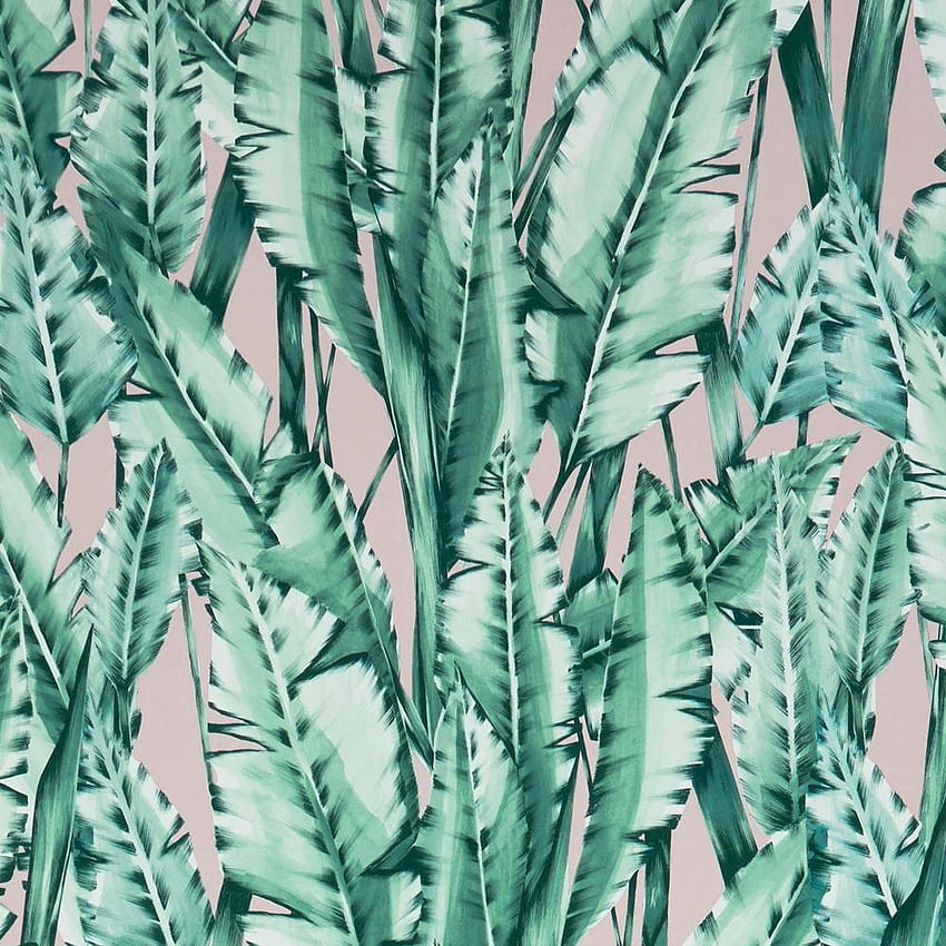 Tiger Leaf in Mint and Blush from the Folium Collection by O – BURKE DECOR, Mint Leaves HD phone wallpaper