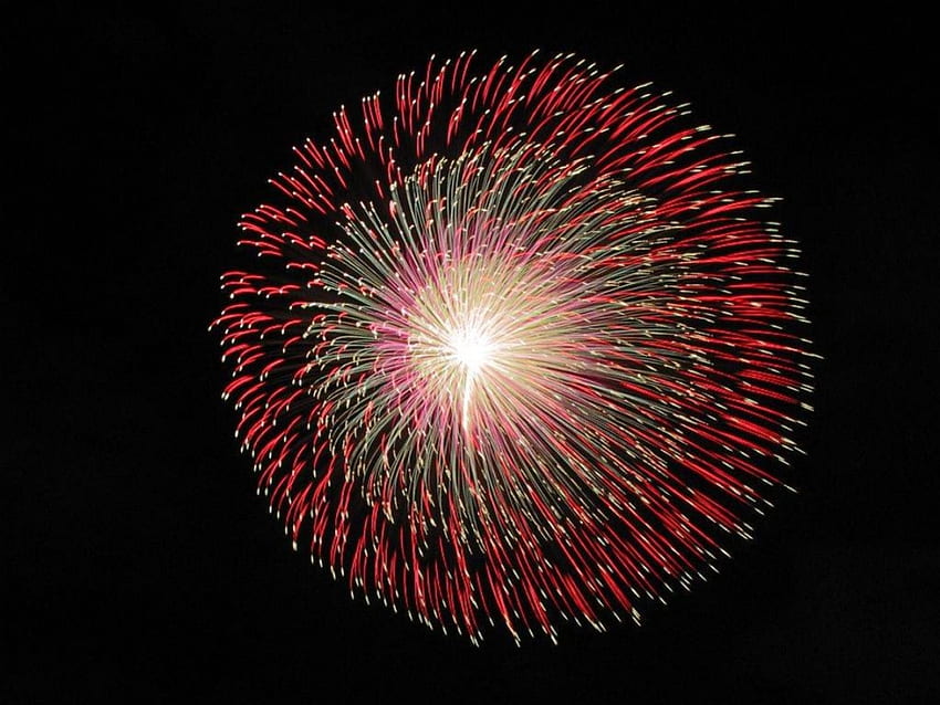 Single Blast, night, fireworks, celebrate, sky, new year HD wallpaper