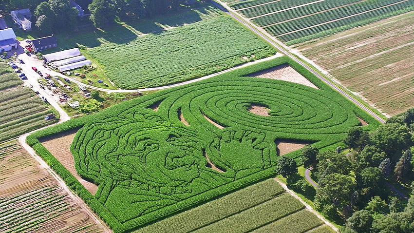 America's Most Elaborate Corn Maze Is Made of GPS and Math HD wallpaper