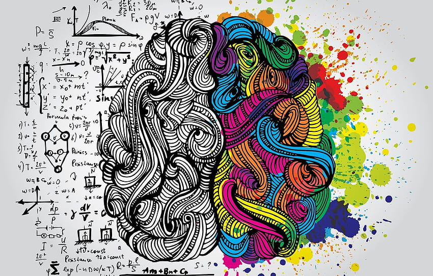 brain, logical part, creative part, Cartoon Brain HD wallpaper