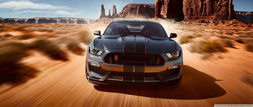 Ford Mustang Shelby GT350 Ultra Background for : & UltraWide & Laptop : Multi Display, Dual Monitor : Tablet : Smartphone, Orange Mustang HD wallpaper