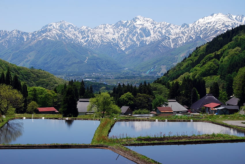 Село Хакуба, природа, Япония, полета, природа, Япония, село, ориз, планина HD тапет