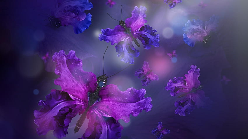Purple Iris Butterfly Abstract Fantasy Art . HD wallpaper