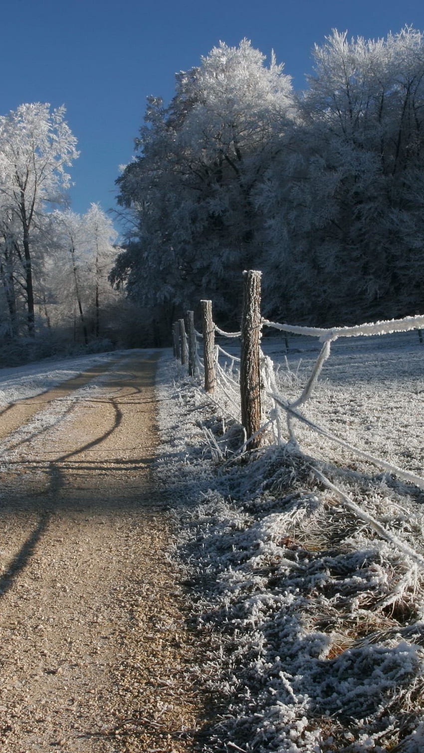 Natur - Kalte Landstraße mit Rauhreif. Der Reif, der sich morgens bei Tau auf Gras oder Blättern et. Winterlandschaft, Winterszenen, Winter, Frühfrost HD-Handy-Hintergrundbild